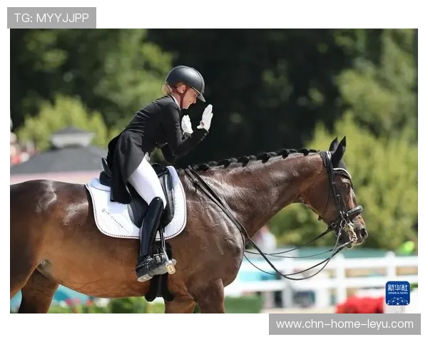 瑞士骑手马丁·福克斯在巴黎奥运会后成为马术协会主席，推动马术运动发展。